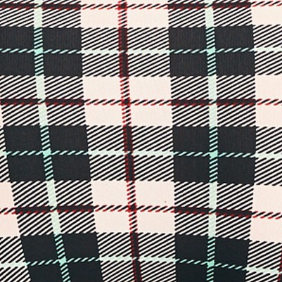 cozy bay plaid