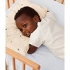 Organic Toddler Pillow & Case Daisy Sprinkle - 2 of 4