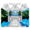 500 mL Bottled Water  Ice Mountain® Brand 100% Natural Spring Water