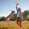 NERF TPR Color Blast Flyer Dog Toys - 4 of 4