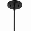 Craftmade Lighting Gaze 1 - Light Pendant in  Flat Black - 4 of 4
