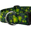 Country Brook Petz HossFit Jr Wide Deluxe Dog Collar - Irish Pride Collection - 4 of 4