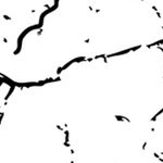 stone cold steve austin