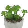 Unique Bargains Artificial Plants Family in Mini Pulp Plastic Green 3.35"x3.35"x3.94" 1 Pc - 4 of 4