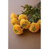 Bundle of Seven Artificial Dahlias 18"H – Yellow (6 X Set of 7) By Kalalou - 2 of 4