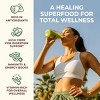 Gya Tea Co Moringa Powder 1.1lb (17.64 Oz) – Tasty Moringa Oleifera Leaf Powder – Superfood for Smoothies, Drinks, Tea, Recipes - 4 of 4