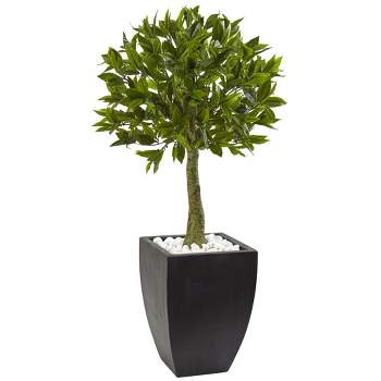 42" Bay Leaf Topiary with Black Wash Planter UV Resistant (Indoor/Outdoor) - Nearly Natural