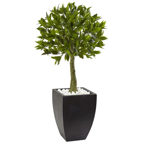 42" Bay Leaf Topiary with Black Wash Planter UV Resistant (Indoor/Outdoor) - Nearly Natural - image 1 of 3