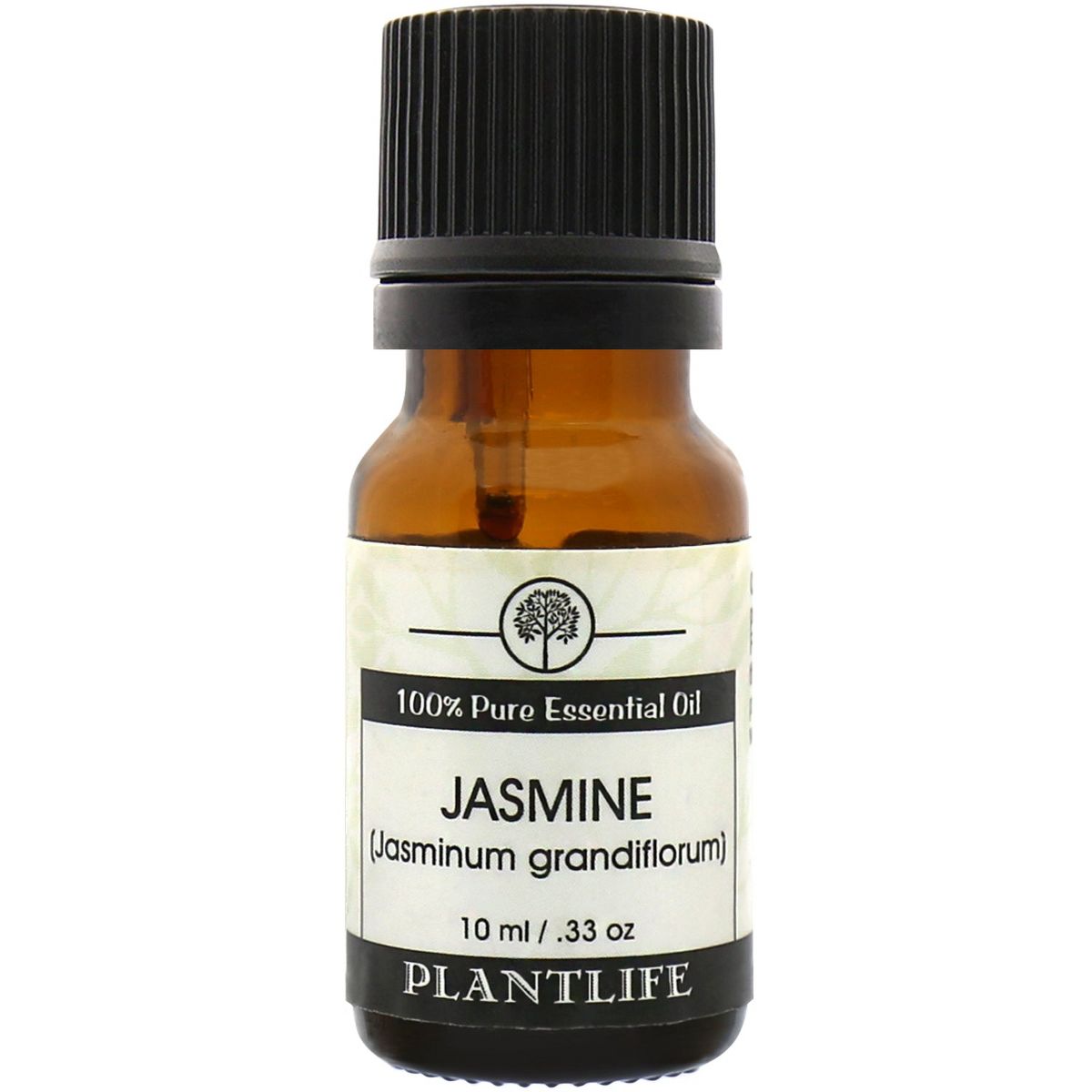 Plantlife Jasmine Essential Oil, 100% Pure Jasminum grandiflorum, Smooth Floral Aroma, 10 ml