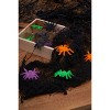 Gallerie II Flocked Spider In Box Figurines Assortment of 12 - 3 of 3