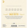 D'Addario EJS86 12-String Bajo Sexto Stainless Steel String Set - 2 of 3