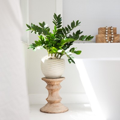 Lush Green Artificial Zamioculcas Plant in Black Pot