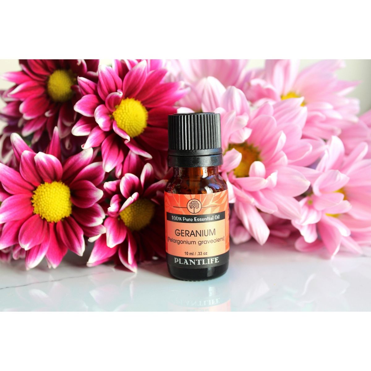 Plantlife Flower Aromatherapy Essential Oil Set – Pure & Therapeutic Grade – No Additives or Fillers – 10 ml Each - thumbnail 4