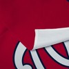 MLB Premium Nationals Printed Wall Hanging - Washington Nationals - 4 of 4