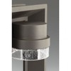 Progress Lighting Z-1010 Outdoor Wall Light, 1-Light, Architectural Bronze, Seeded Glass Shade - 2 of 4