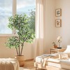 6 FT Ficus Tree Artificial with Tall White Planter, Fake Ficus Tree with 3 Natural Trunks & White-Edged Leaves, Tall Faux Floor Plant for Home Decor - 3 of 4