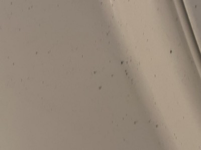 Guest review image 2 of 3, zoom in