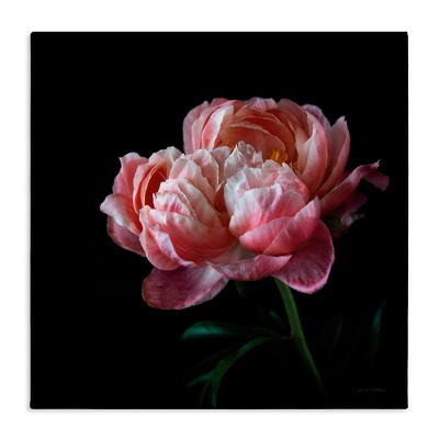 Stupell Industries Dark Rose Photography, 36" x 36"