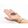 Collectible Wildlife Gifts | Armadillo, Cingulata,  Plastic Animal Figure, Model, Animal,  Gift, Toy,  2 1/2"   CWG105 B237 - 3 of 4