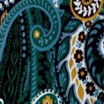 frost teal paisley