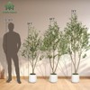 5-7FT Artificial Olive Tree with White Planter, Faux Olive Tree Fake Potted Olive Silk Tree for Indoor/Outdoor Home Decor with Realistic Trunk - 3 of 4