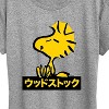 Women's - Peanuts - Woodstock Short Sleeve Graphic T-Shirt - 2 of 4
