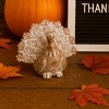 Transpac Large White-washed Turkey Figurine Set of 2 Fall Harvest Home Decorations for Thanksgiving and Autumn - 3 of 4