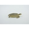 Collectible Wildlife Gifts | Sea Turtle, Hatchling, Plastic Design, Realistic, Reptile, Educational, Model,  Toy,  Gift,      2"       F0039 B123 - 4 of 4