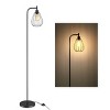 Fine Art Lighting Wire Cage Floor Lamp, Black - 4 of 4