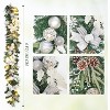 GAOMON Christmas Garland with Lights, 6 Feet Pre-lit Silver Xmas Garlands with 20 Lights, Ball Ornaments, Pine Cones, Berries, Battery - 2 of 4