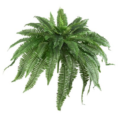 Boston Fern 2pk (48") - Nearly Natural