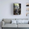 Trademark Fine Art -Mike Jones Photo 'Watkins Glen Rainbow Bridge' Canvas Art - 2 of 4