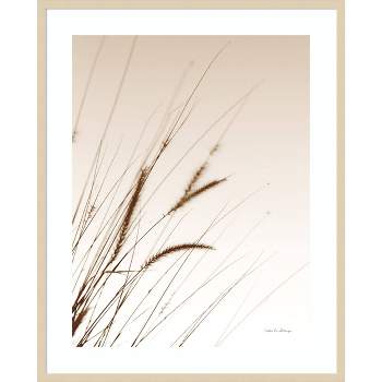 34" x 42" Field Grasses I Sepia by Debra Van Swearingen Framed Wall Art Print Light Brown - Amanti Art
