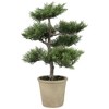 Northlight Real Touch™ Artificial Japanese Bonsai Tree in Weathered Pot - 20.25" - 4 of 4