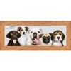 PosterPalooza | Panoramic Shabby Chic Orange Picture Frame - UV Acrylic, Foam Board Backing, Hanging Hardware - 4 of 4