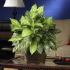 Nearly Natural Variegated Dieffenbachia with Large Hexagon Silk Plant - 3 of 3