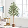 Acekool Faux Olive Tree with Adjustable Branches, Realistic Silk Leaves & Fruits, Indoor Decorative Plant for Home and Office - 3 of 4