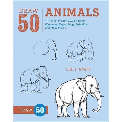 Draw 50 Animals - By Lee J Ames (paperback) : Target