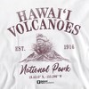 Men's Hawaii Volcanoes National Park Volcano Icon Crewneck Sweatshirt - 2 of 4