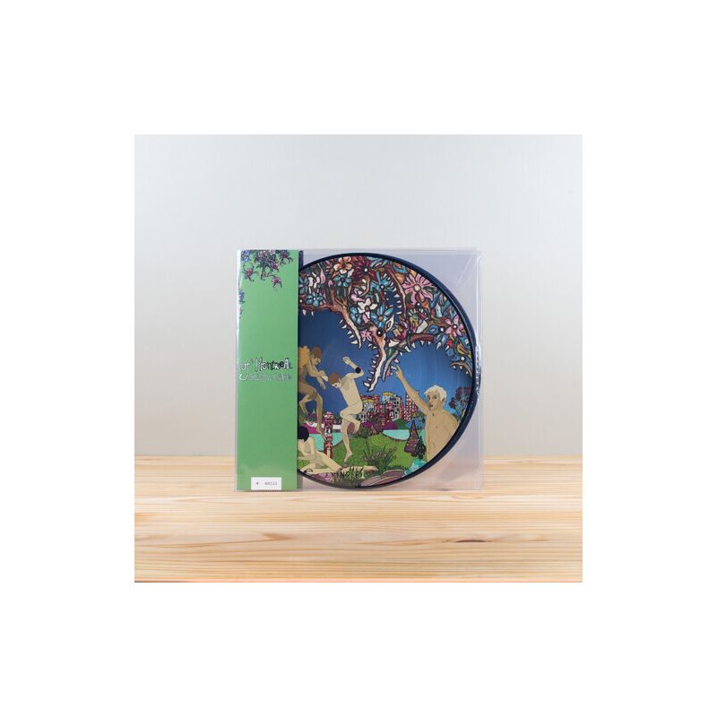 Of Montreal - Skeletal Lamping (Picture Disc Edition) (Vinyl), 1 of 2