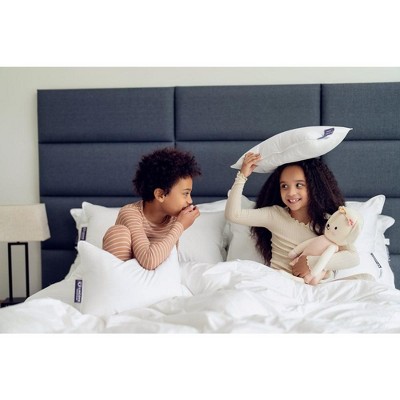 White Cotton Down Feather Travel Pillow with Tote Bag