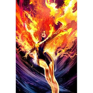 Phoenix Vol. 3 - by  Stephanie Phillips (Paperback) - 1 of 1