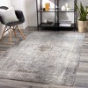 Hauteloom Boli Distressed Statement Rug - 2 of 4