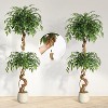 homfan Ficus Tree Artificial,4FT Artificial Plants Indoor in Sturdy White Pot,Indoor Faux Tree for Home Office Decor - 3 of 4