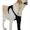 Suitical Recovery Single Sleeve for Dogs - Chest Circumference, Black - 4 of 4