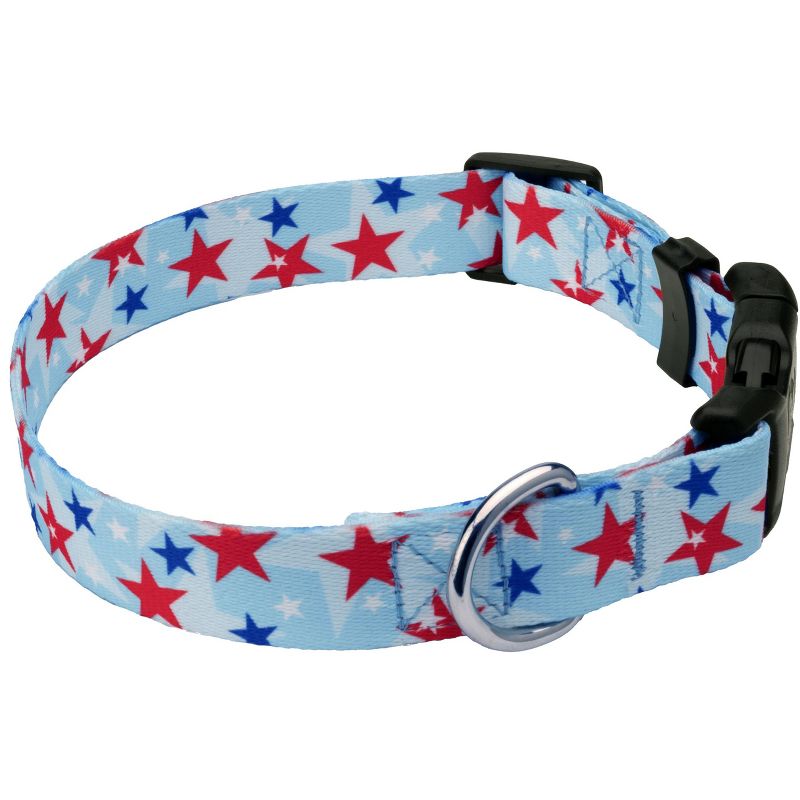 Country Brook Petz Deluxe American Celebration Dog Collar - Made in the U.S.A., 3 of 6