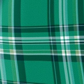 midnight vine plaid