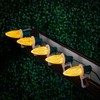 Novelty Lights C7 LED Faceted Christmas Replacement Bulbs Dimmable 25 Pack - 4 of 4