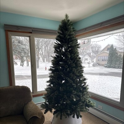 Guest review image 1 of 2, zoom in