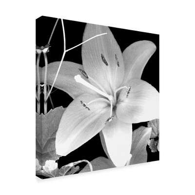 Trademark Fine Art -Susan S. Barmon 'White Lily 2 Black And White' Canvas Art